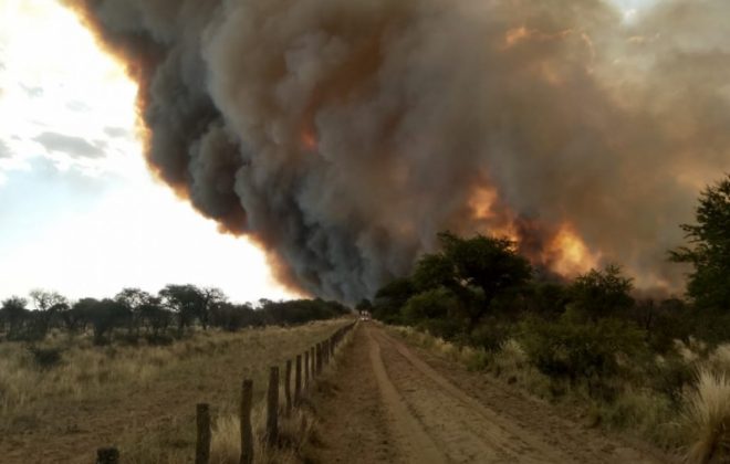 Nuevos focos de incendio: se quemaron 4.000 hectáreas al límite con San Luis