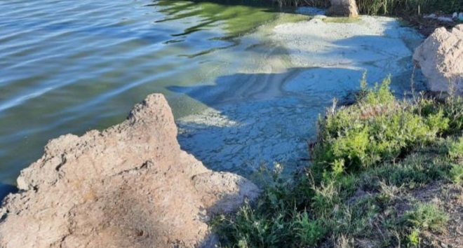 Laguna Don Tomás: se registró floración algal