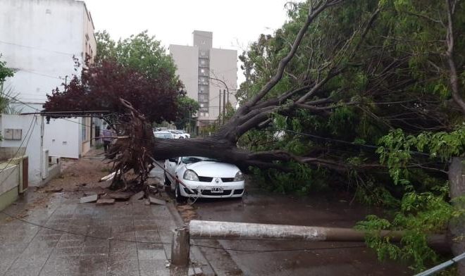 La tormenta dejó destrozos en varias localidades pampeanas