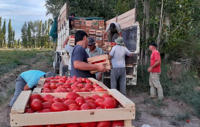 25 de Mayo: el EPRC acompañó logísticamente el trabajo de productores