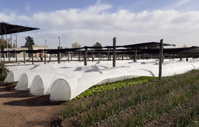 El CERET proveerá productos a la Escuela Hortícola de Santa Rosa