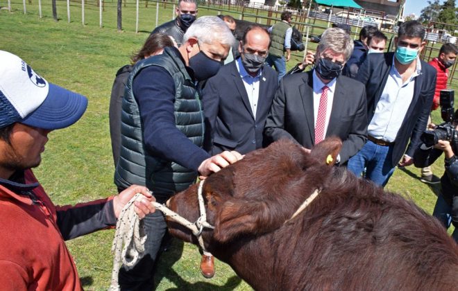 Ziliotto: “En 2021 La Pampa exportó 15,6% más que en 2020”