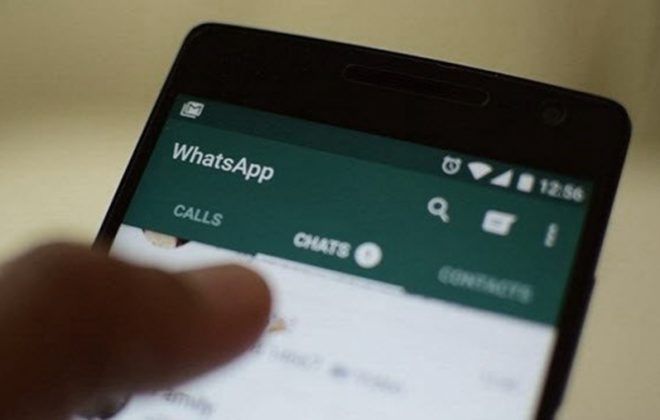 Se puede consultar por WhatsApp información de las elecciones legislativas