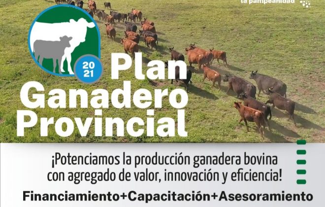 Producción inicia ciclo de presentación del Plan Ganadero Provincial 2021