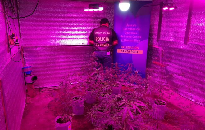 Secuestran marihuana, cocaína y armas de fuego en Santa Rosa