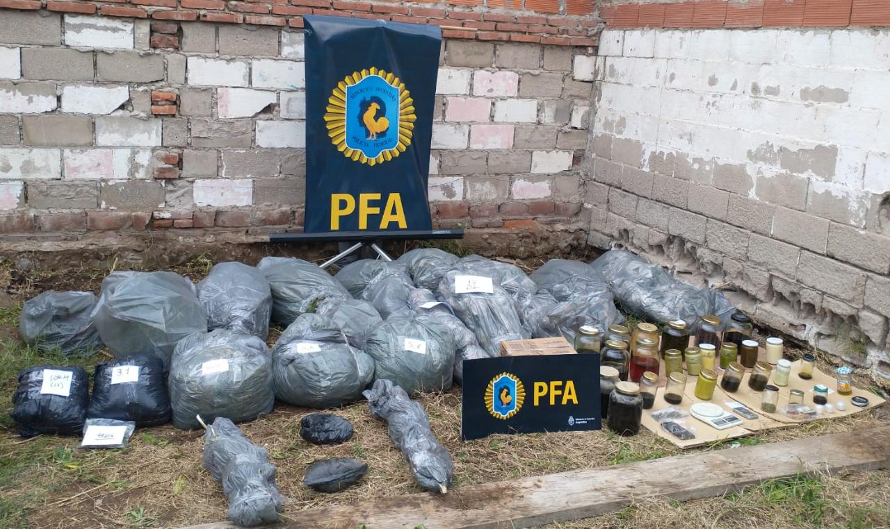 Se picó la Cosecha: PFA desbarató un laboratorio clandestino y secuestró 25 kilos de flores de marihuana￼