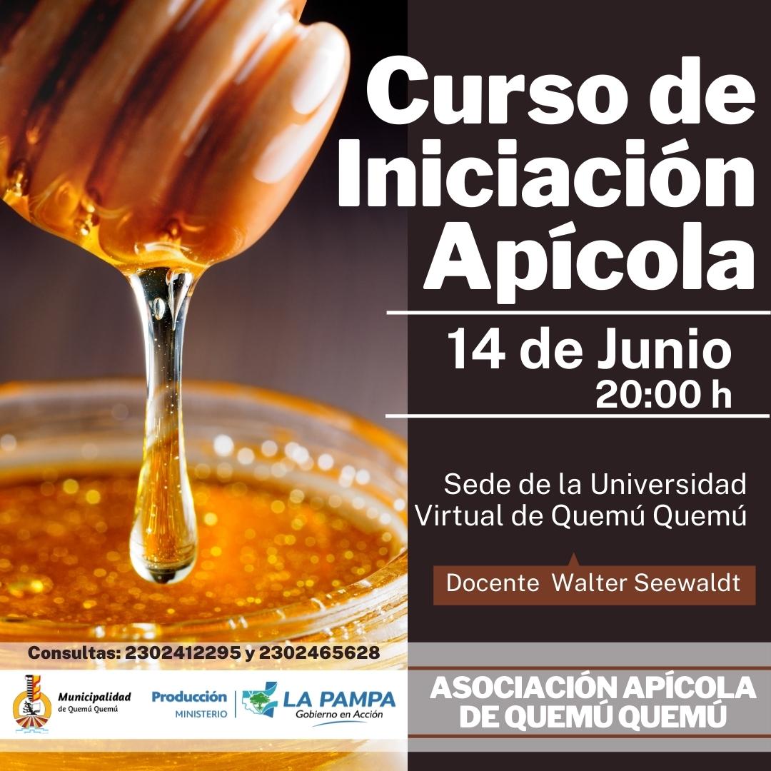 Quemú Quemú: Definida la fecha del curso de iniciación apícola