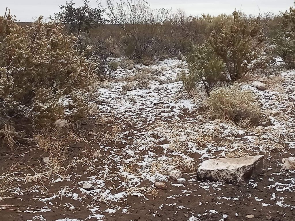 Llegó el invierno: Nevó en Chos Malal y La Humada