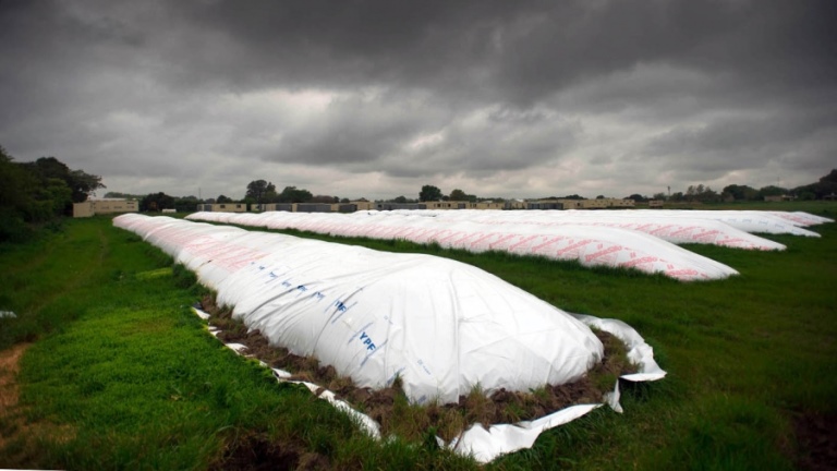 El BCRA aprobó un nuevo instrumento para incentivar al sector agroexportador a liquidar la cosecha