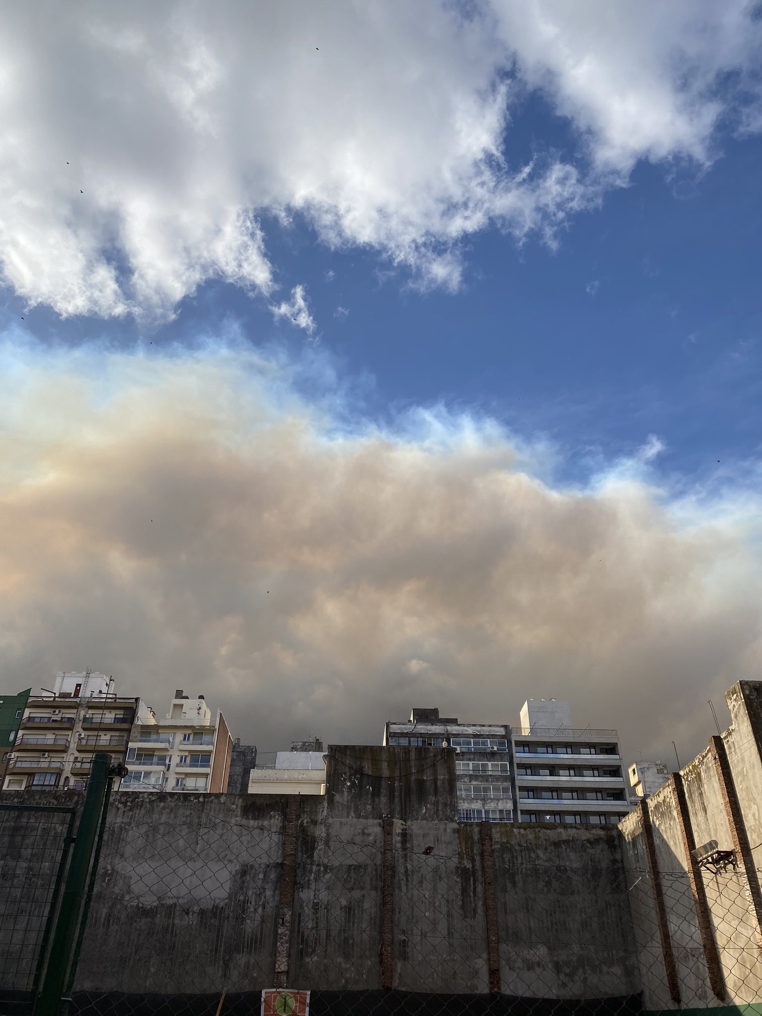 Rosario: Incendios afectan a la población y el intendente pide la intervención de la justicia