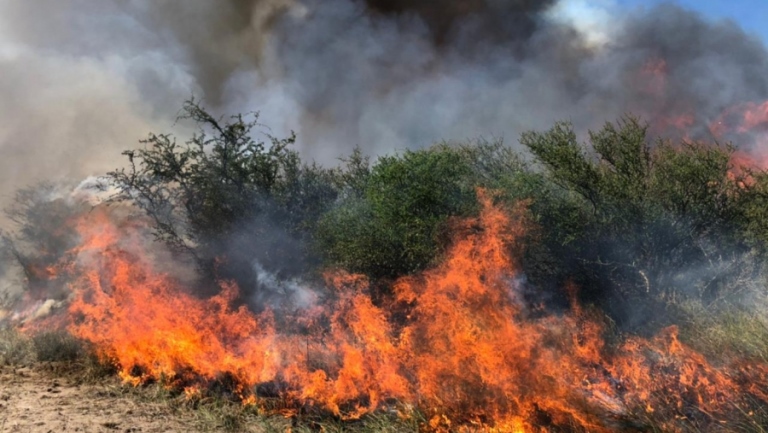 Extienden la temporada de quemas en La Pampa hasta el 12 de septiembre