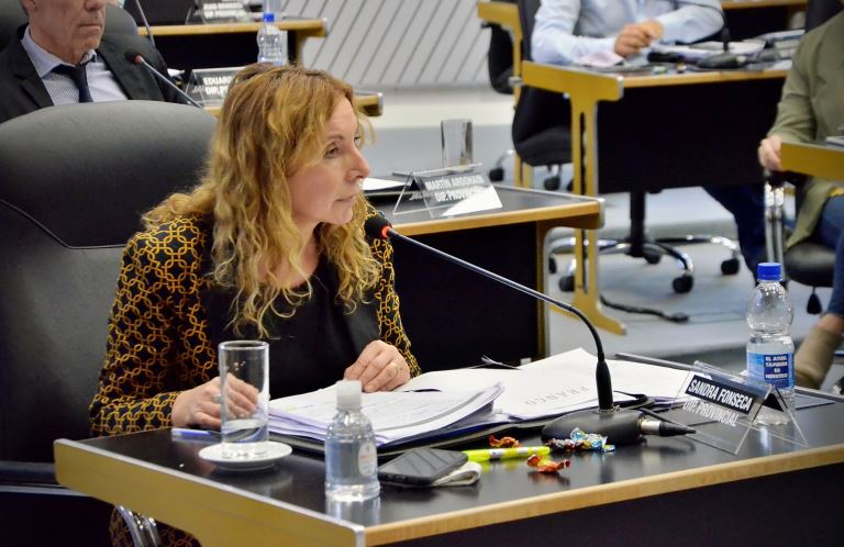 Ocho legisladores pampeanos participan del Parlamento Patagónico en Chubut