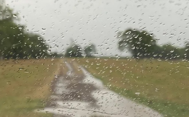 Lluvias en La Pampa: En PC Padre Buodo, con 30 mm, el lugar que más llovió