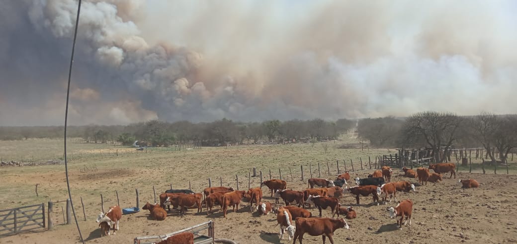 Incendios: Producción recorrió establecimientos afectados