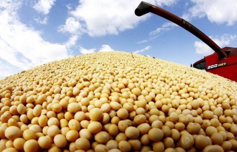 Tras dos semanas de vigencia del “dólar soja”, agroexportadores ingresaron US$ 3.564 millones