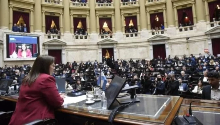 La Cámara de Diputados se pronunció sobre el ataque a CFK