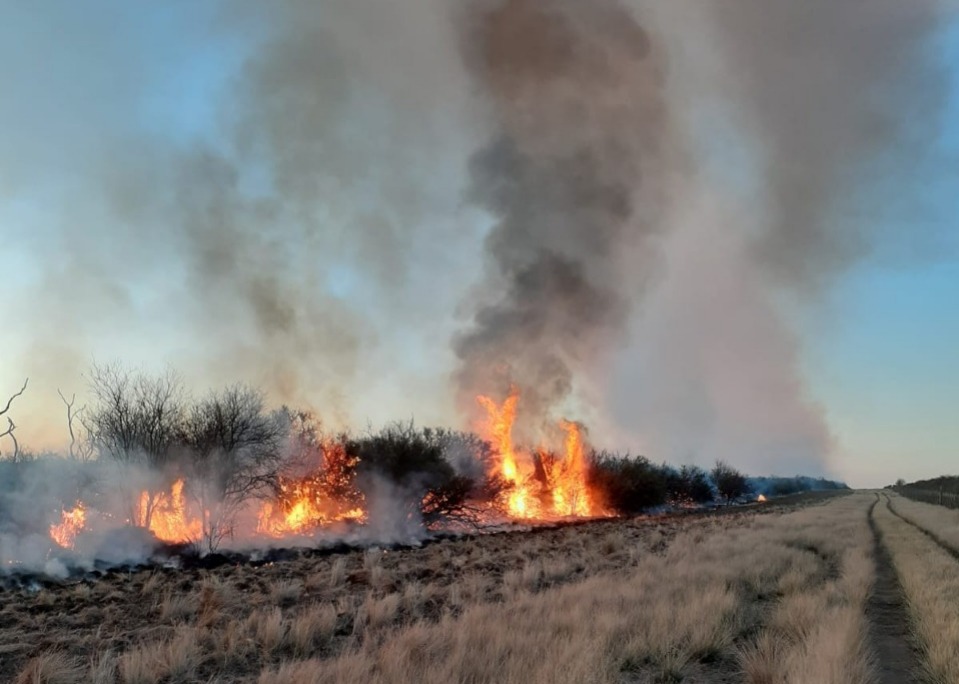 Incendios en temporada invernal afectaron 36.254 hectáreas