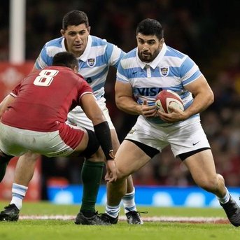 Rugby: Los Pumas se enfrentan a Escocia en el último partido del año