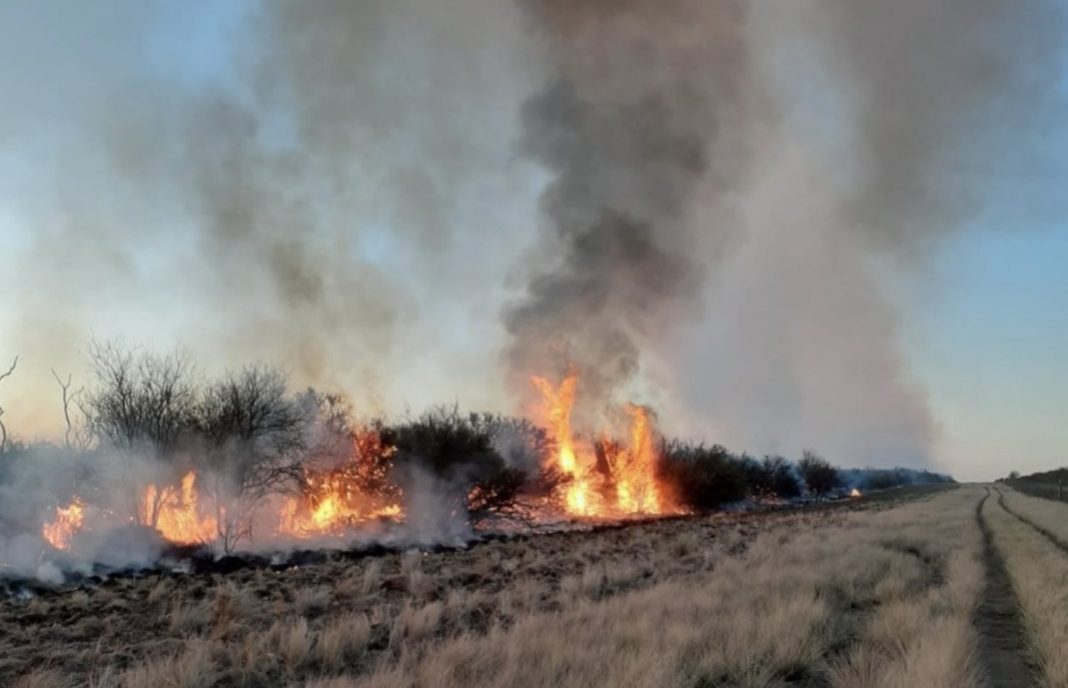 Incendios: Continúa el foco “activo” en Atreuco