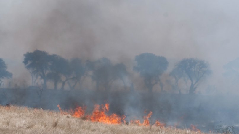 Santa Rosa: Incendio a metros de viviendas en el sudeste de la capital