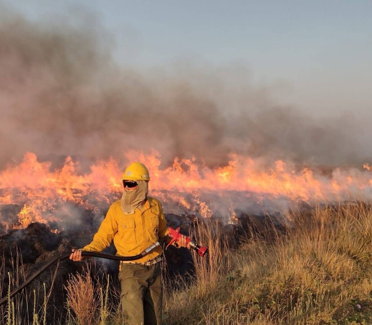 Cinco provincias con focos activos, entre ellos en los Esteros del Iberá y Los Alerces