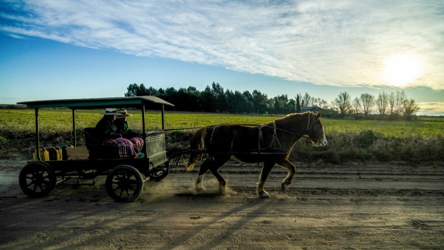 Alta movilidad turística en La Pampa durante enero