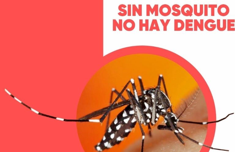 Salud Pública continúa con la campaña Patio Limpio para prevenir el dengue