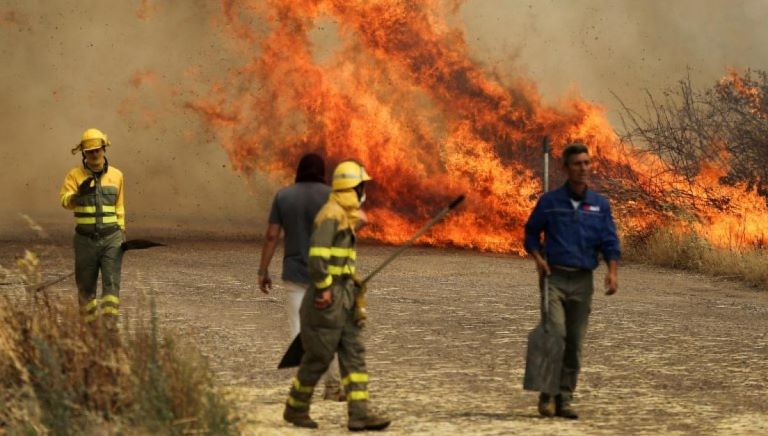 Chile: Incendios por ola de calor arrasaron cerca de 750 hectáreas