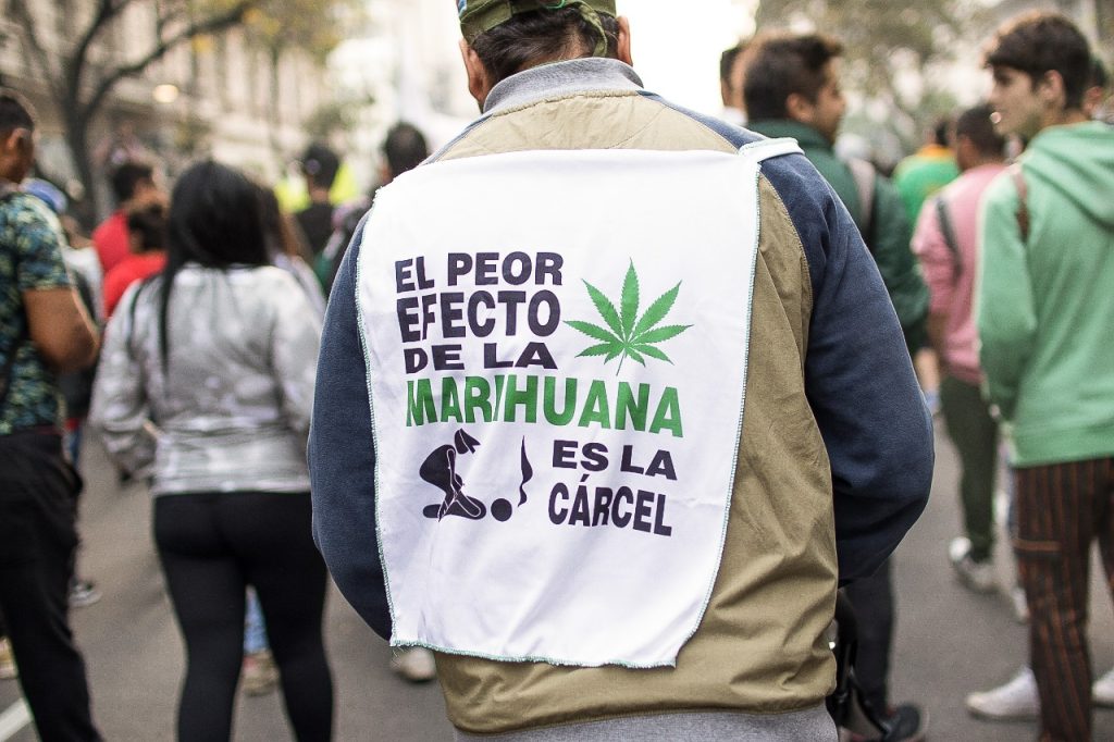 Procesan a cultivador de cannabis detenido en Realicó