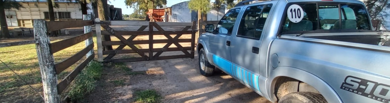 Influenza aviar: Se confirmó un caso positivo en aves de traspatio en la provincia de Buenos Aires