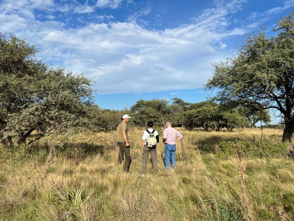 Metileo avanza en la creación de una Reserva Natural Urbana y Educativa