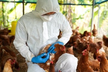 La Mesa de Zoonosis intensifica sus acciones por el caso de gripe aviar detectado