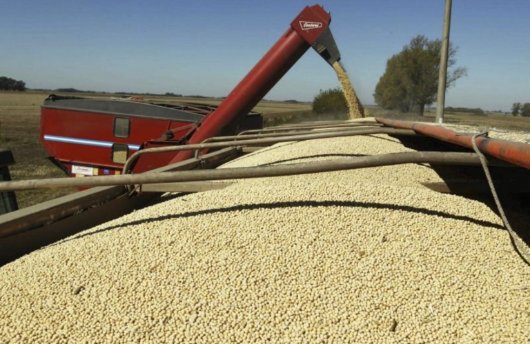 El Gobierno nacional adelantó que trabaja para bajar los impuestos al sector agropecuario