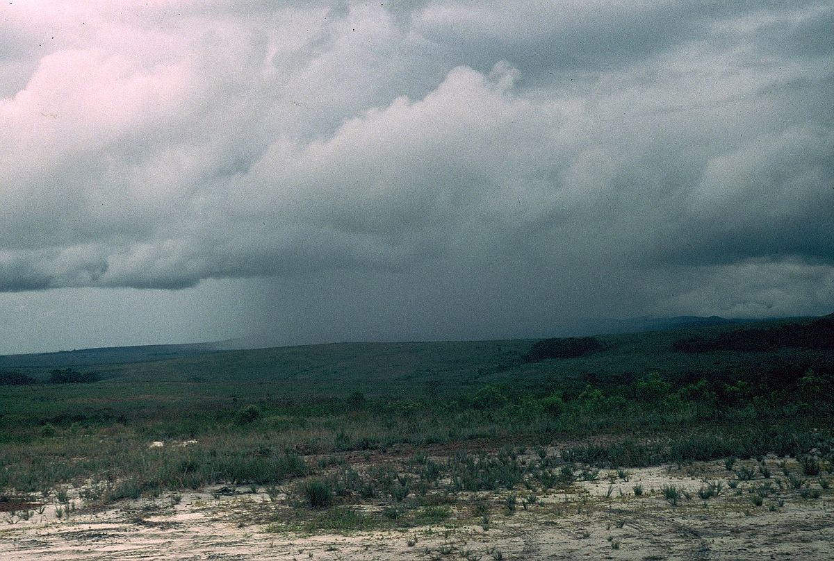 Lluvias dispares en La Pampa: En Eduardo Castex llovieron 15 mm