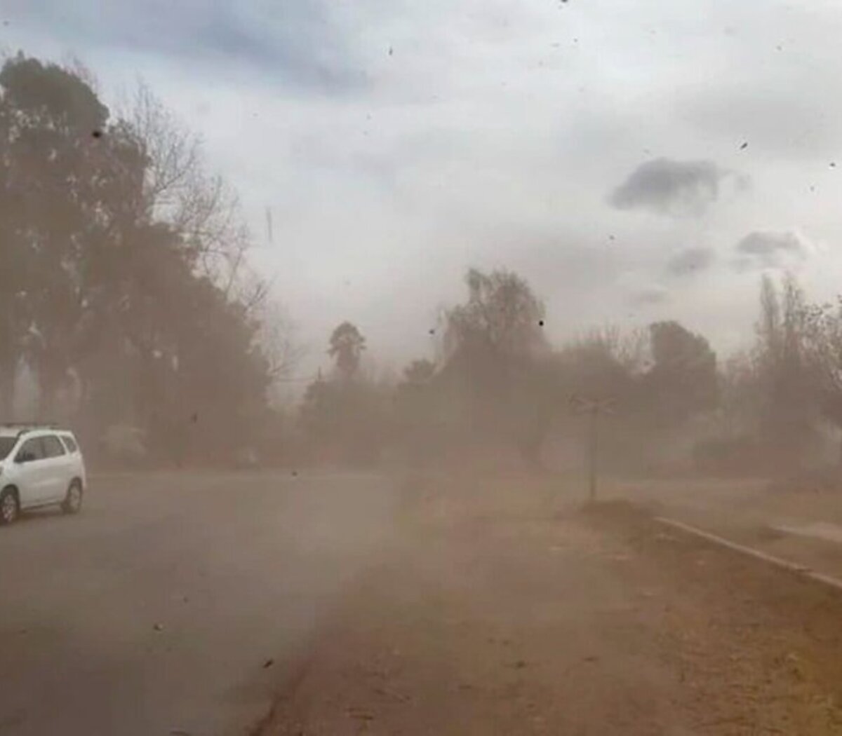 El SMN emitió alerta amarillo por vientos para toda La Pampa