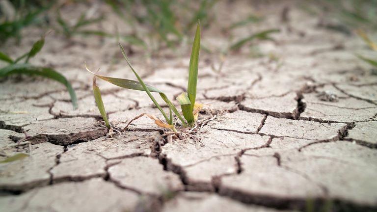 Los desafíos de La Pampa ante el cambio climático