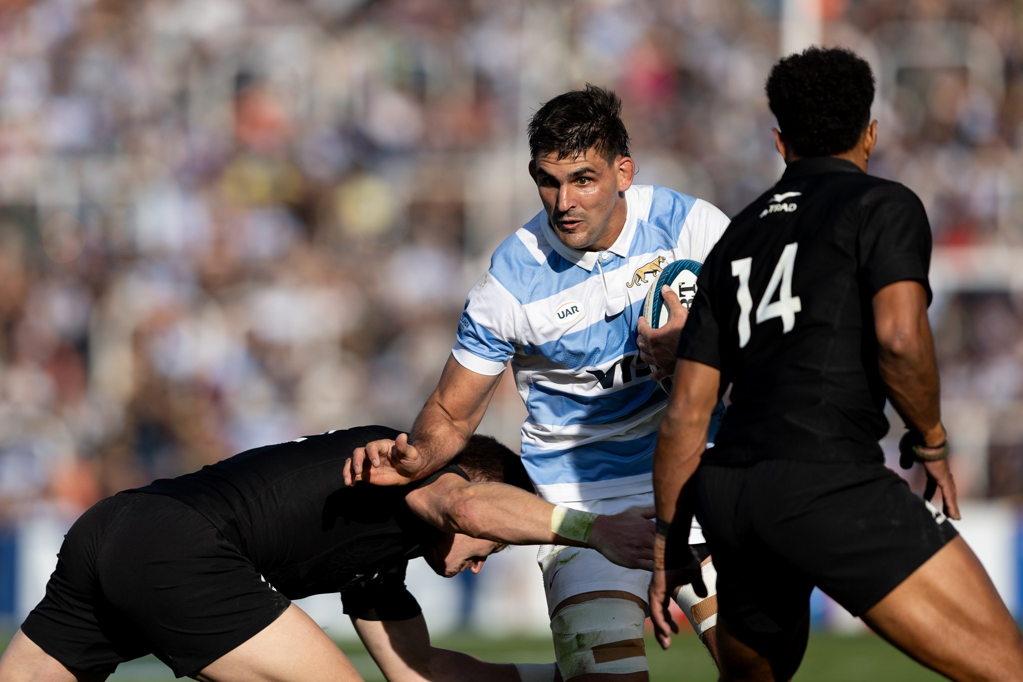 Rugby: Cayeron Los Pumas frente a los All Blacks