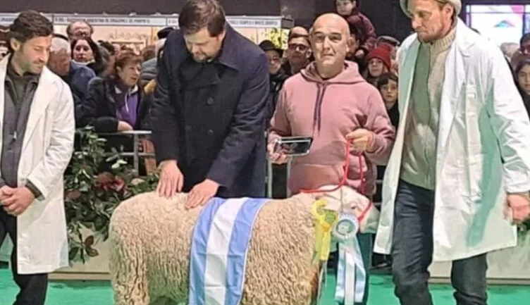 “Ventarrón”, ejemplar pampeano de Pampinta se llevó un premio mayor en Palermo