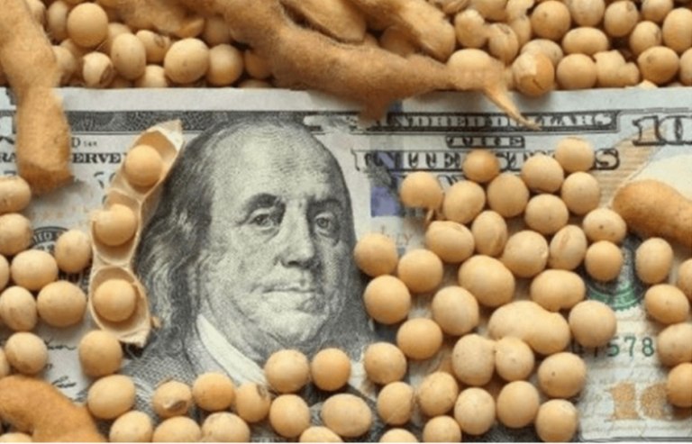 Ya se vendieron 5 millones de toneladas de granos con el nuevo dólar agro e ingresaron más de US$ 1.600 millones