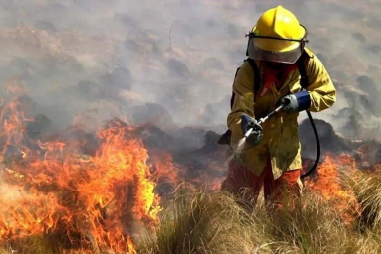 Córdoba: Incendios forestales generalizados afectan a la provincia