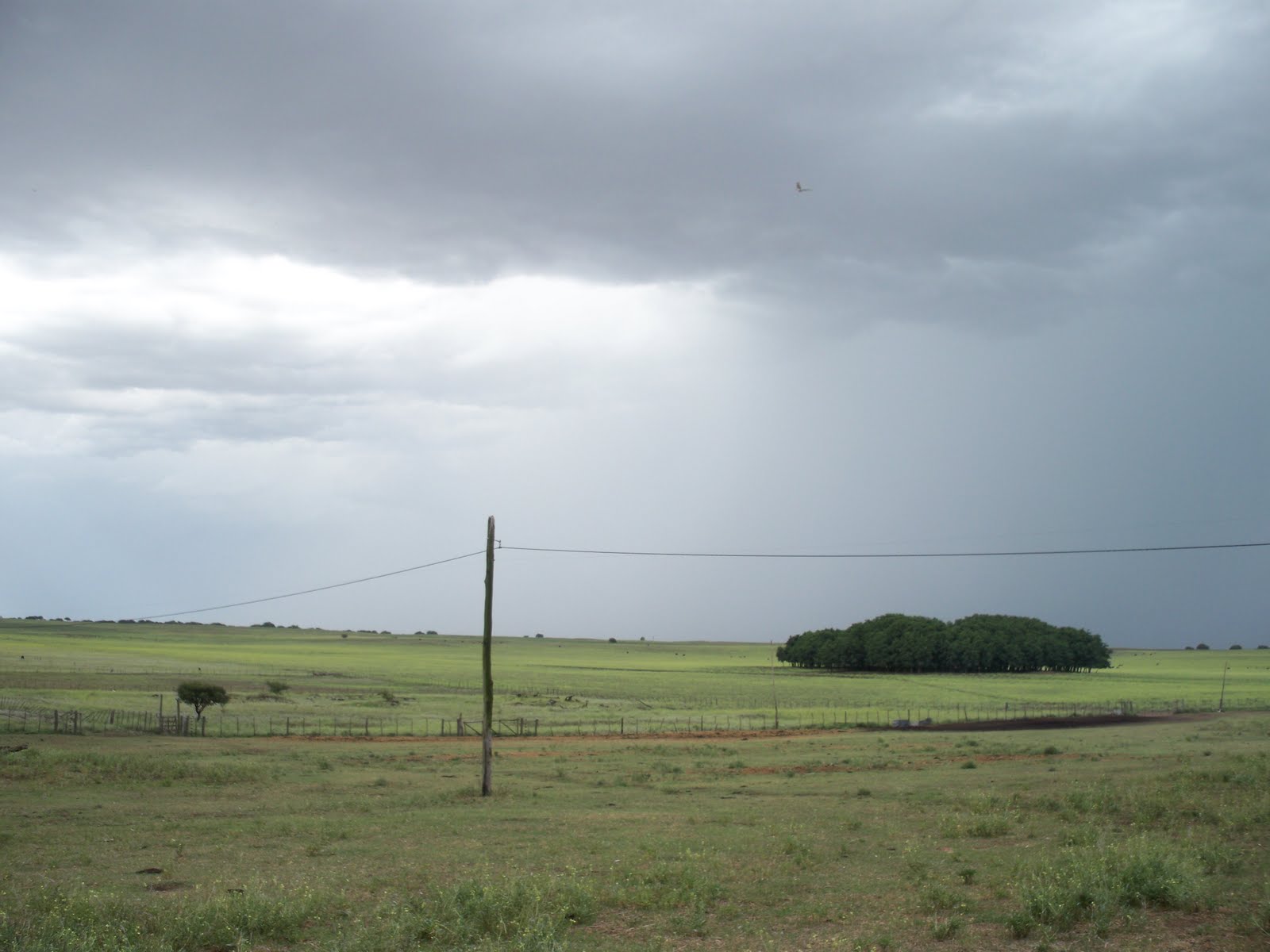 Escasos registros de lluvias en La Pampa