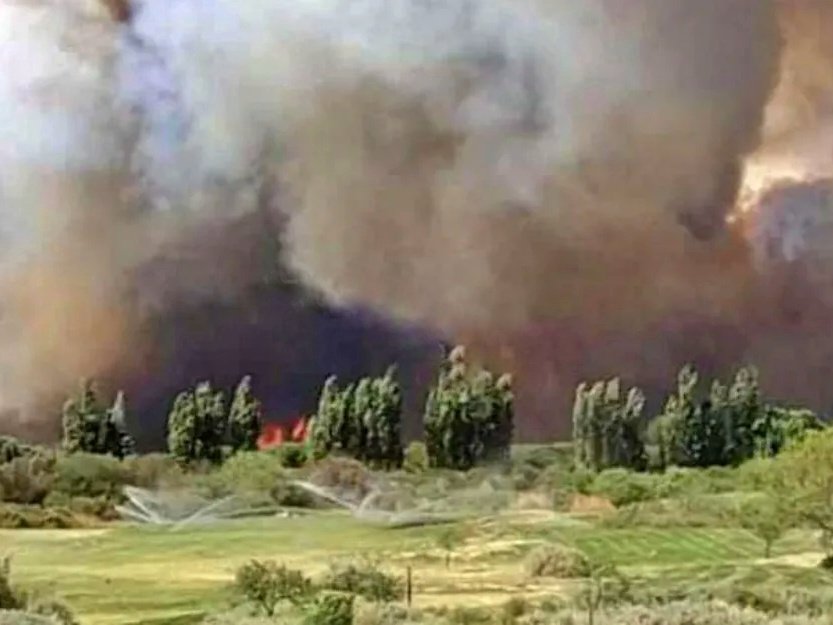 Salta: Un incendio en Cafayate consume un boque nativo