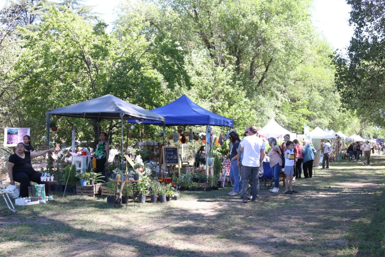 General Pico: Domingo de Expo Verde con entrada gratuita