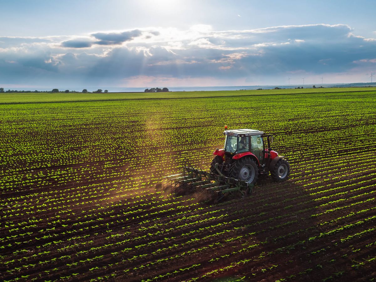 La pampa es la cuarta provincia con menos extranjerización de tierras