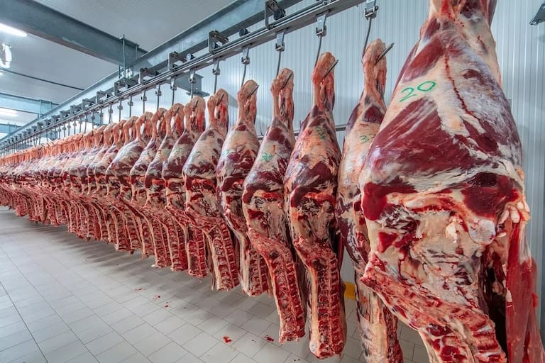 A partir del lunes permitirán la exportación de carnes sin restricciones