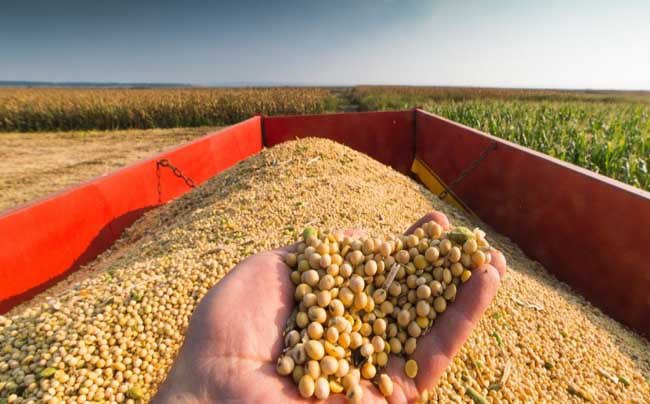 La Mesa de Enlace mostró preocupación por las medidas que tomó el BCRA y que afectan al agro