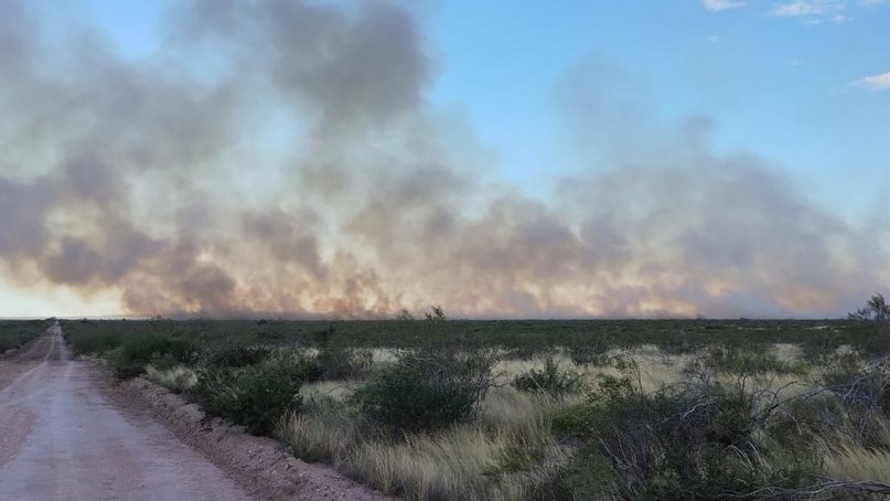 Parque Lihué Calel: Lograron controlar el fuego que quemó 4 mil hectareas