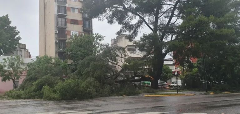 Uruguay: El temporal dejó al menos dos víctimas fatales