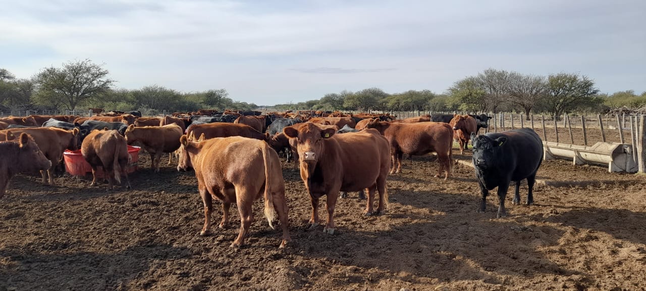 Aumentaron los montos de créditos para pequeños productores agropecuarios