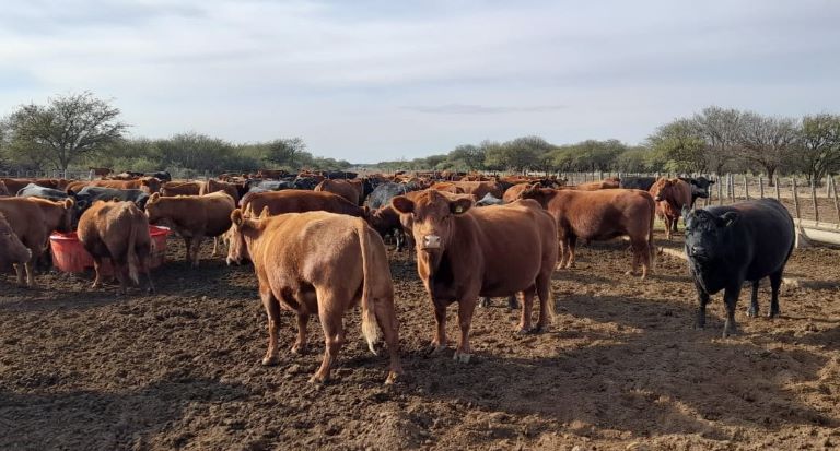 Aumentaron los montos de créditos para pequeños productores ganaderos de la provincia